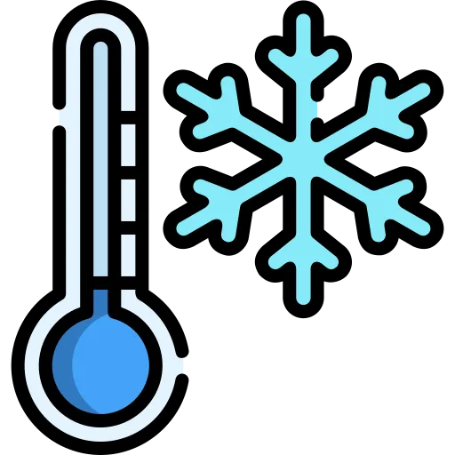 ❄️ IQF Freezing Technology