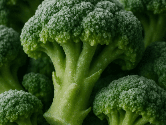RIFCO Frozen Broccoli – Fresh, Nutritious, and Always Ready