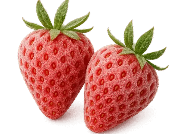RIFCO Frozen Strawberries – Freshness from Farm to Table